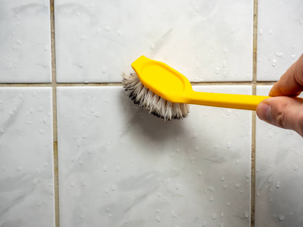 Best Black Mold Remediation in Tompkinsville, KY
