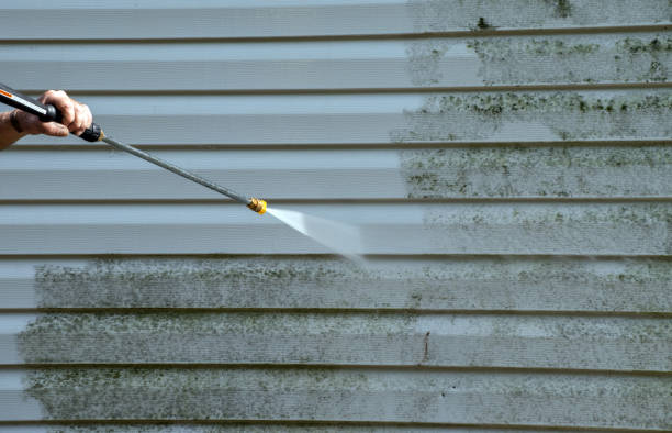 Best DIY Mold Remediation Support Services in Tompkinsville, KY
