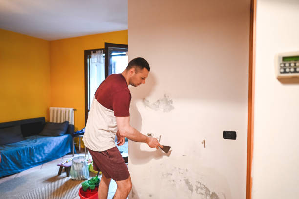 Best Bathroom Mold Remediation in Tompkinsville, KY